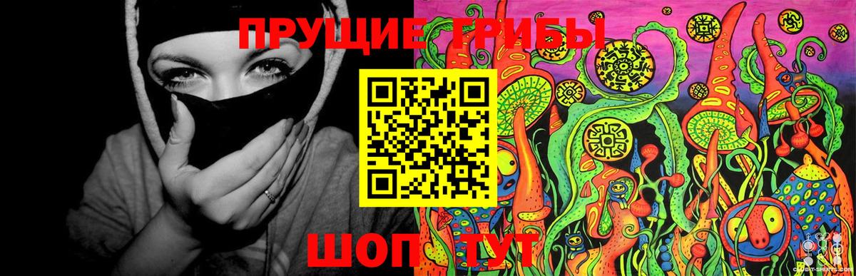 Псилоцибиновые грибы ЛСД  Вход с VPN  продажа наркотиков  Новороссийск  Псилоцибиновые грибы MAGIC MUSHROOMS 