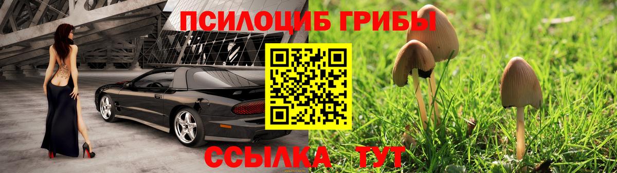 Псилоцибиновые грибы Cubensis Новороссийск