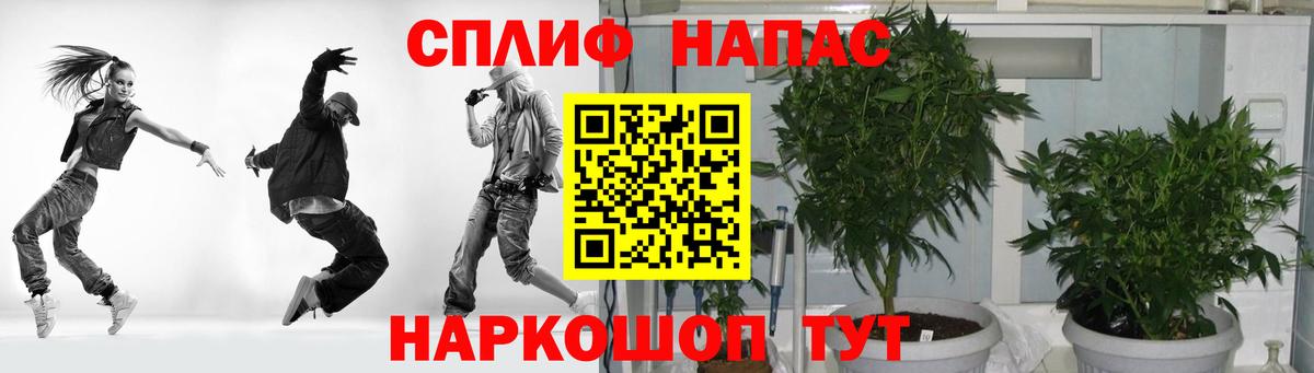 Каннабис семена Новороссийск